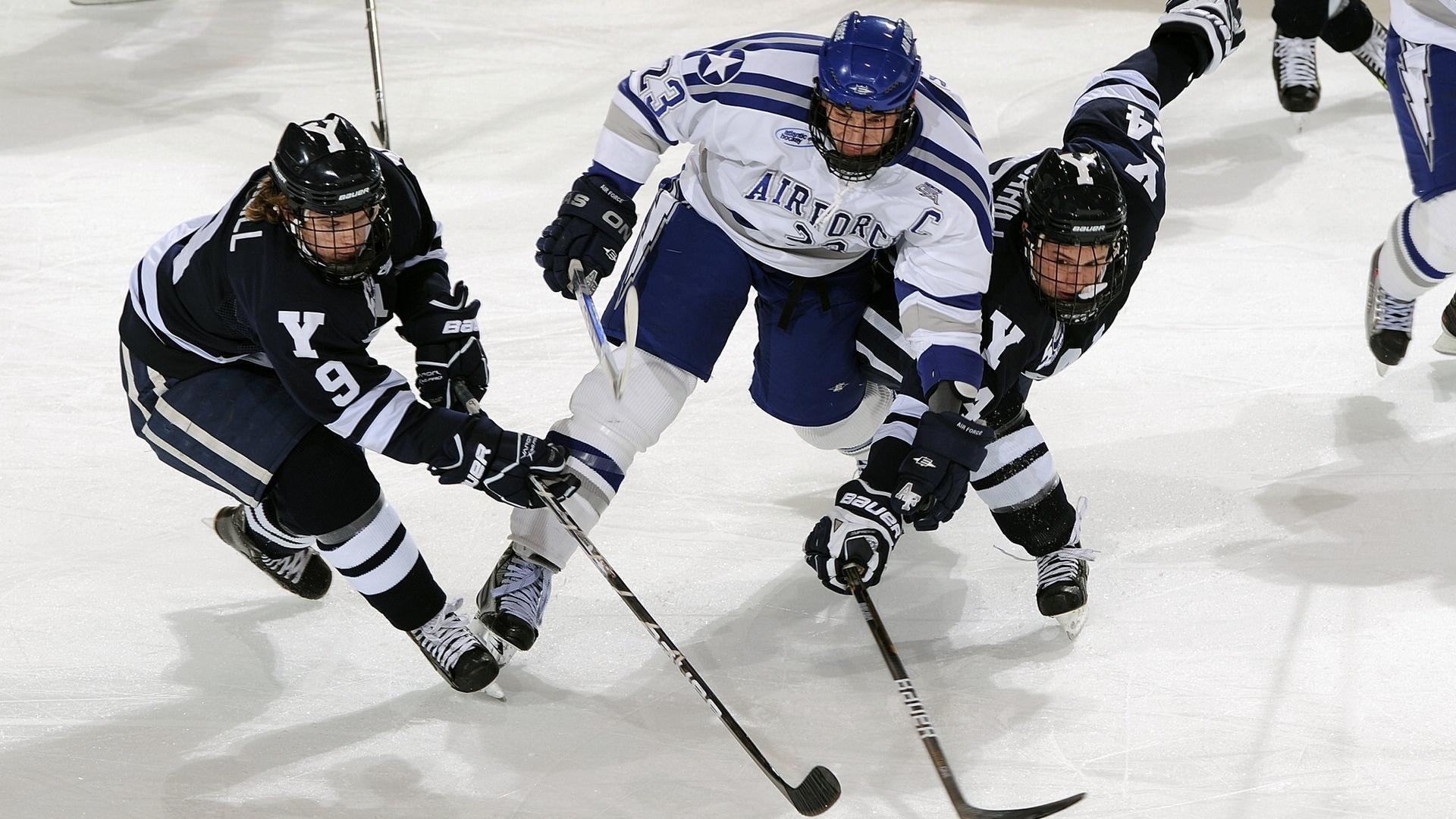 直播互动：球迷与现场氛围的完美结合，篮球直播话术