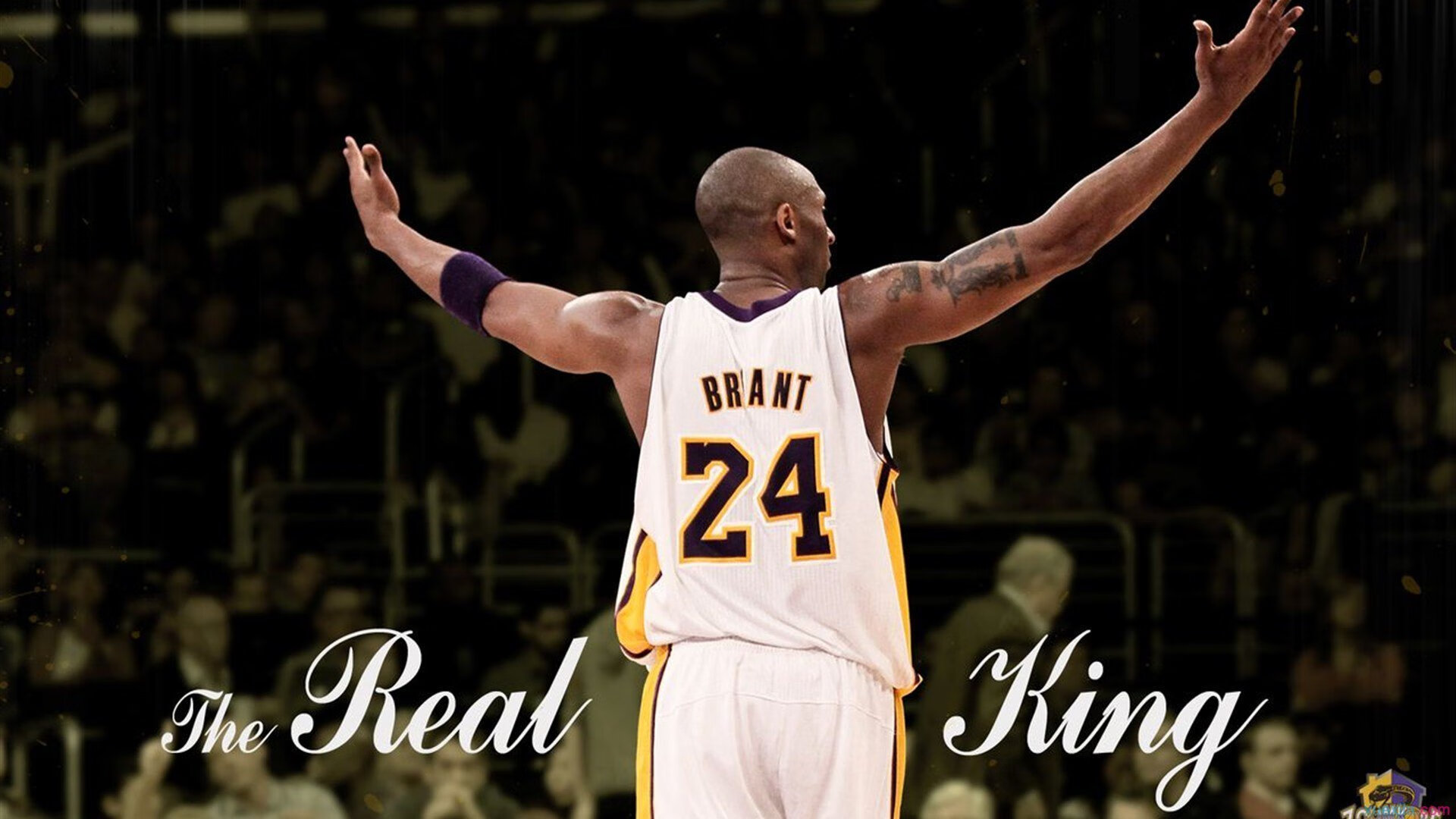 Chinese Taipei乒乓战术：高效发球与接发球技巧